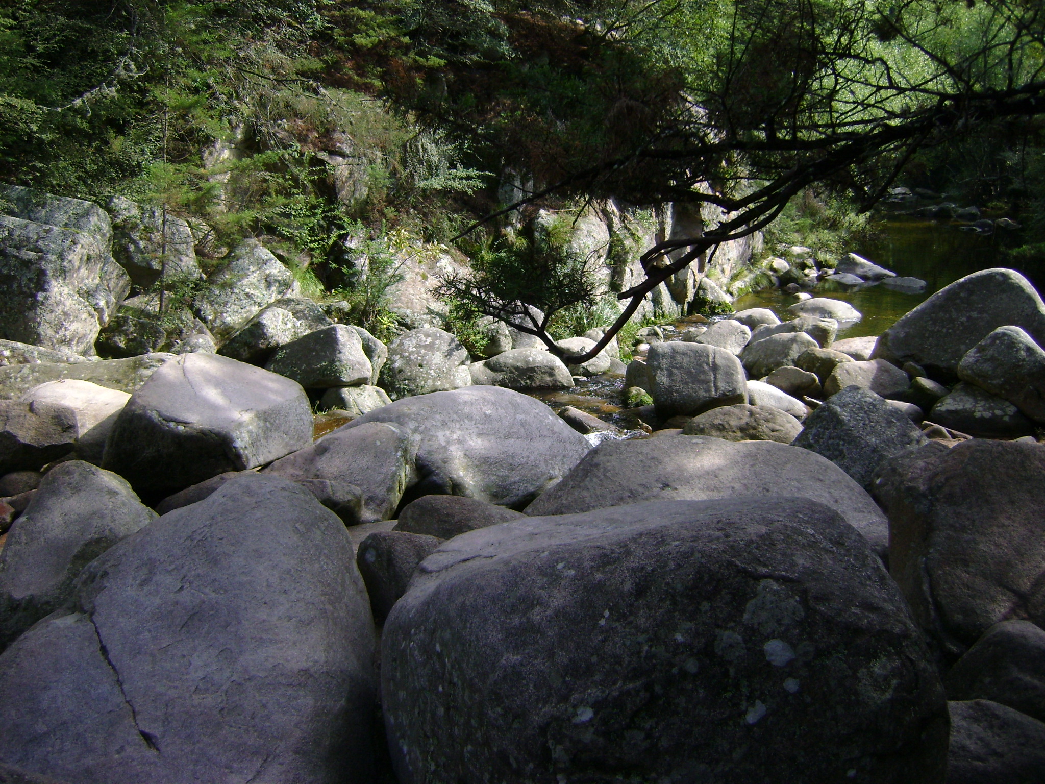 fotos/2011 - Los Reartes/DSC03374.JPG